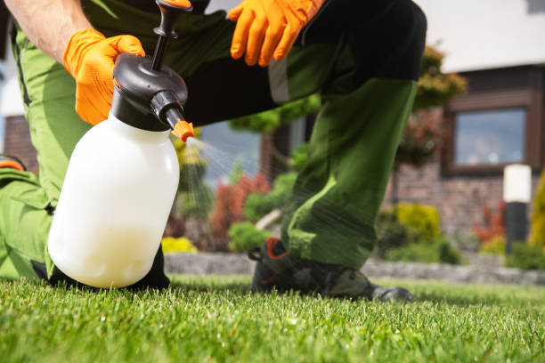 Best Residential Pest Control  in San Marcos, TX