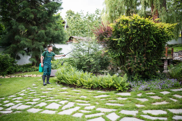 Best Best Pest Control Companies  in San Marcos, TX
