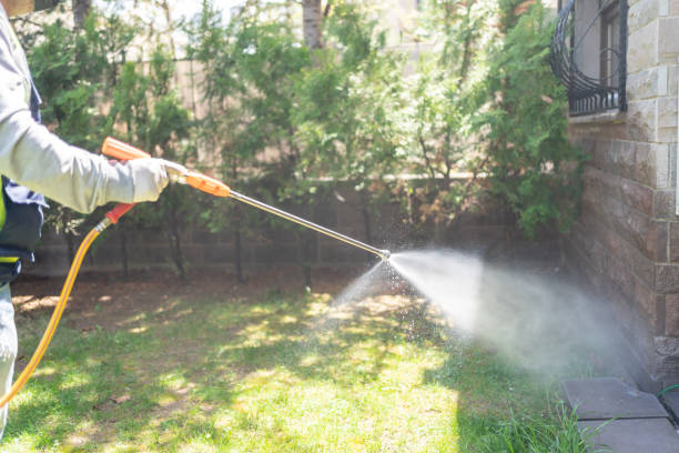 Best Rat Extermination Near Me  in San Marcos, TX